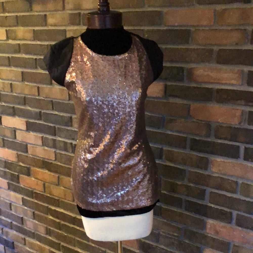 Ted Baker Top- Capped Sleeve. Size 2 Back is see thru material.